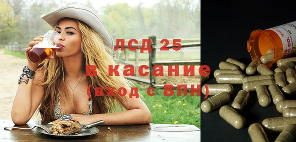 2c-b Краснослободск