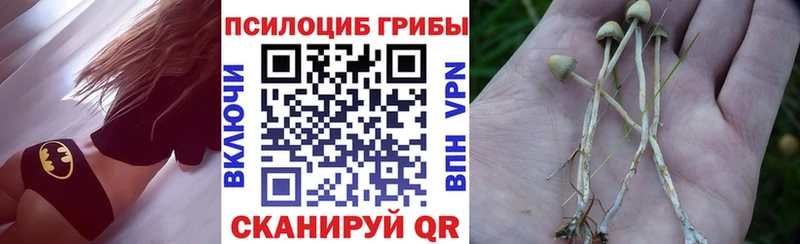 Галлюциногенные грибы мицелий  Куровское 